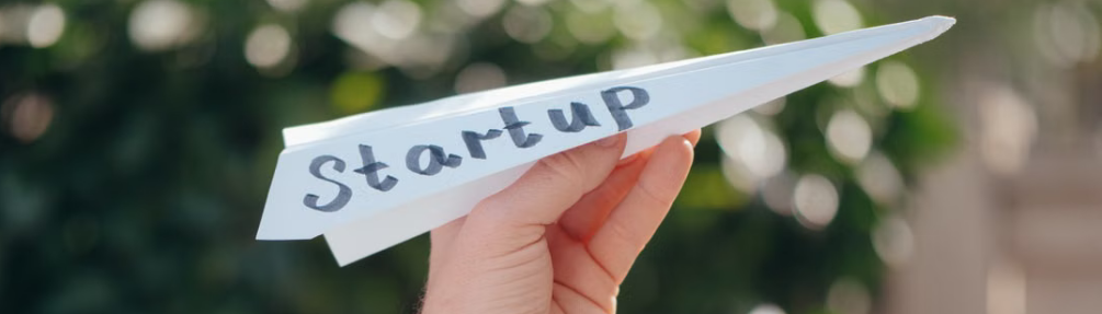 startup in the net