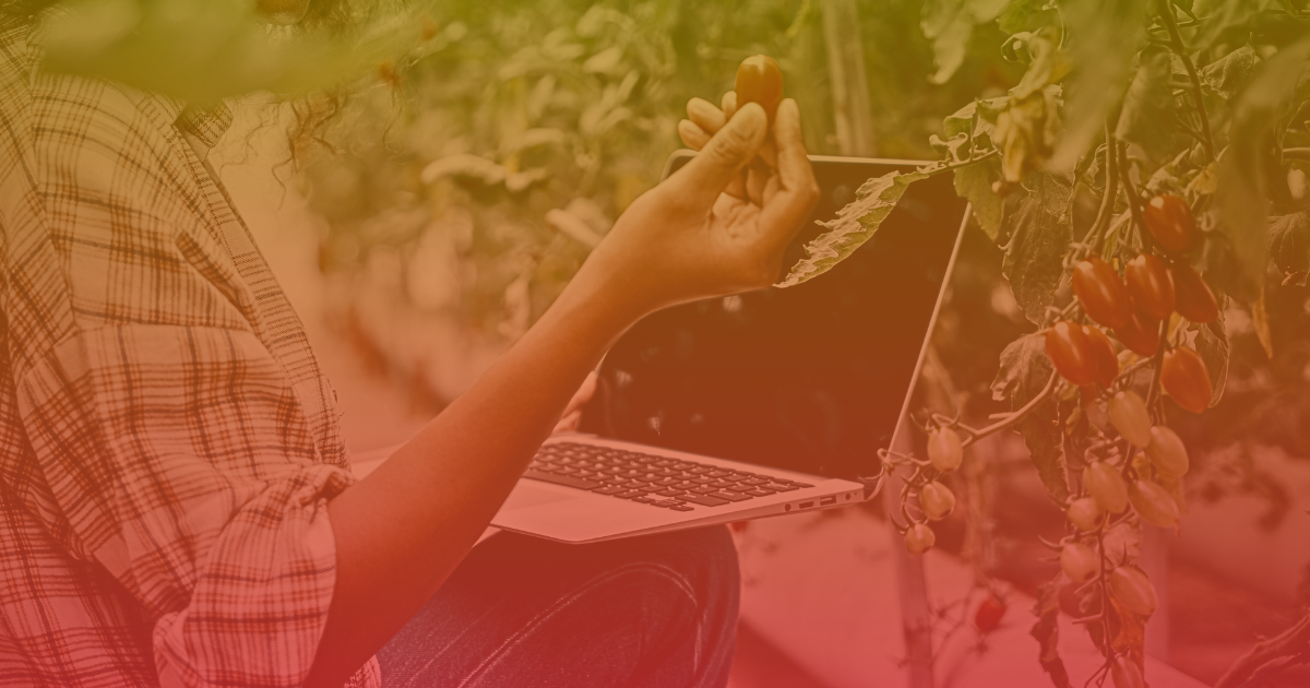 Quando il clima cambia come si adatta l'agricoltura? AI, ricerca e tecnologie in campo