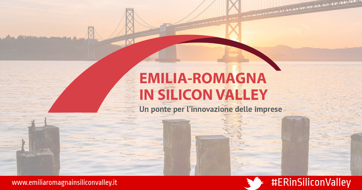 ERinSiliconValley