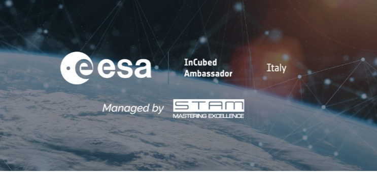 Doing Business with Earth Observation through InCubed