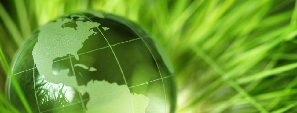 Climate Neutrality Forum
