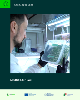 Innovazione Made in Italy: Microhemp, la Startup che Rivoluziona la Cannabis Industriale con il Sostegno di Ecosister Accelerator