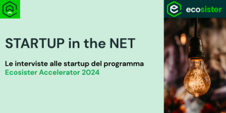 Startup in the Net 2024